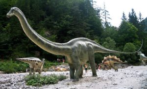 dinosauri a porto san giorgio 